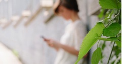 text message