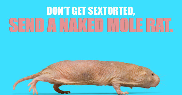 New campaign suggests teens send photo of naked mole rat 