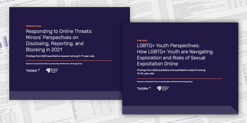 Our two most recent reports about responding to online threats and LGBTQ+ Youth Perspectives